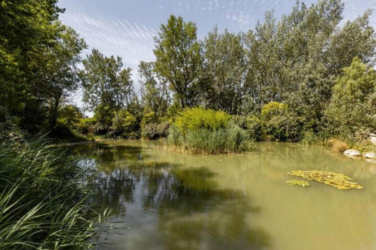 La Bastide De L Etang Leilighet LʼIsle-sur-la-Sorgue Eksteriør bilde